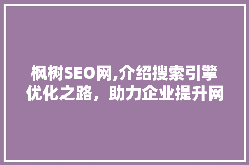 枫树SEO网,介绍搜索引擎优化之路，助力企业提升网络竞争力
