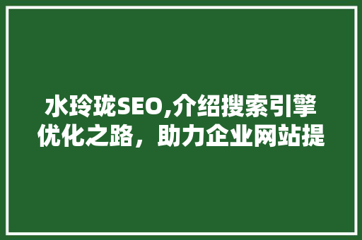 水玲珑SEO,介绍搜索引擎优化之路，助力企业网站提升流量与品牌影响力