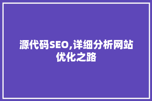 源代码SEO,详细分析网站优化之路