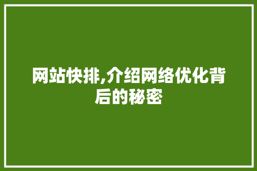 网站快排,介绍网络优化背后的秘密