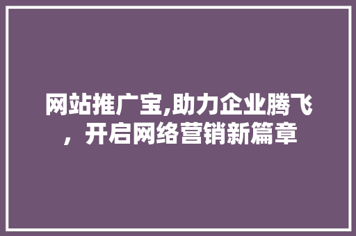 网站推广宝,助力企业腾飞，开启网络营销新篇章