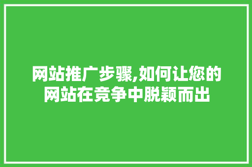 网站推广步骤,如何让您的网站在竞争中脱颖而出