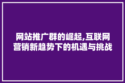 网站推广群的崛起,互联网营销新趋势下的机遇与挑战
