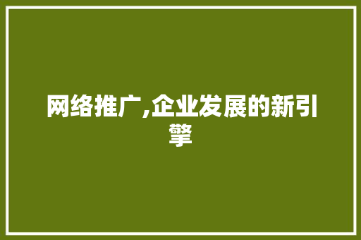 网络推广,企业发展的新引擎