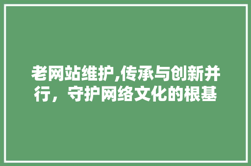 老网站维护,传承与创新并行，守护网络文化的根基
