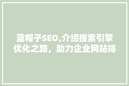 蓝帽子SEO,介绍搜索引擎优化之路，助力企业网站排名提升