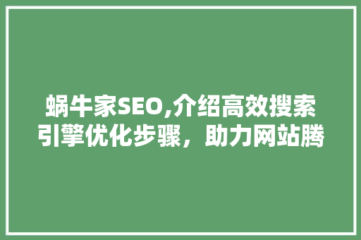 蜗牛家SEO,介绍高效搜索引擎优化步骤，助力网站腾飞