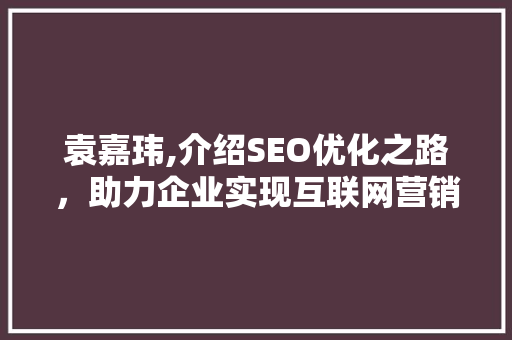 袁嘉玮,介绍SEO优化之路，助力企业实现互联网营销新突破