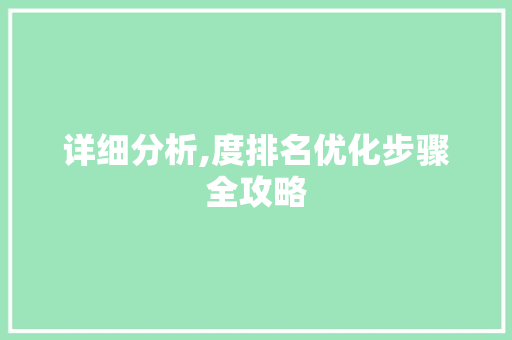 详细分析,度排名优化步骤全攻略