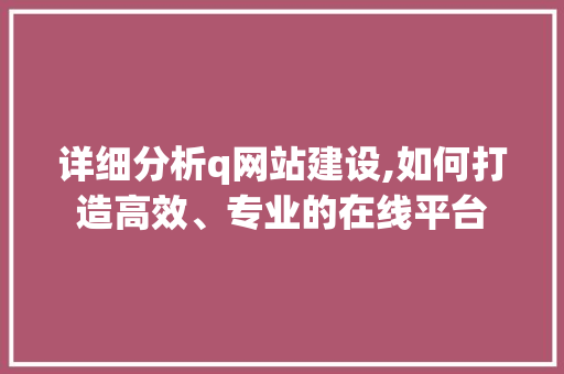 详细分析q网站建设,如何打造高效、专业的在线平台
