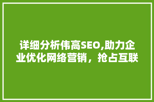 详细分析伟高SEO,助力企业优化网络营销，抢占互联网商机