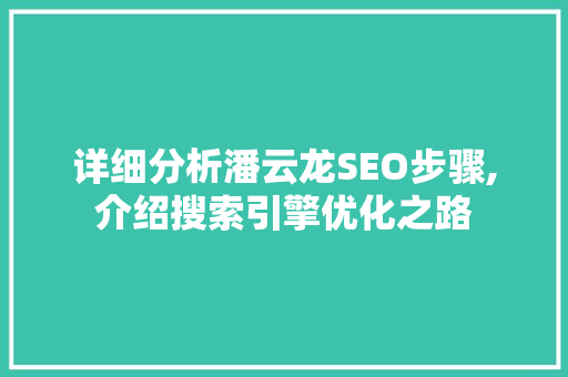 详细分析潘云龙SEO步骤,介绍搜索引擎优化之路 网络技术