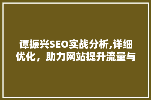 谭振兴SEO实战分析,详细优化，助力网站提升流量与排名