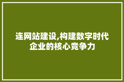 连网站建设,构建数字时代企业的核心竞争力 操作系统