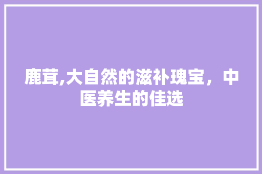 鹿茸,大自然的滋补瑰宝，中医养生的佳选