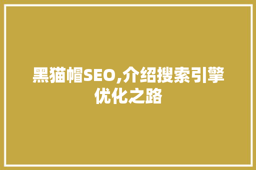 黑猫帽SEO,介绍搜索引擎优化之路 网络技术