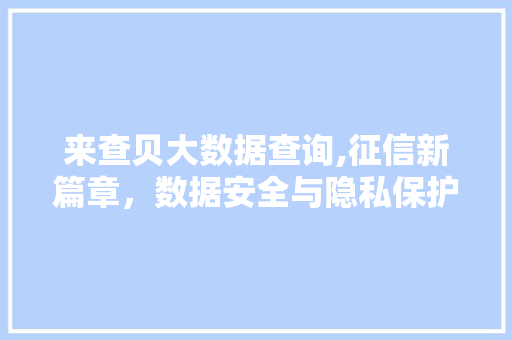 来查贝大数据查询,征信新篇章，数据安全与隐私保护的探索