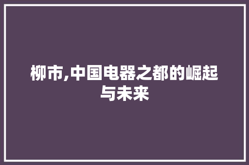 柳市,中国电器之都的崛起与未来