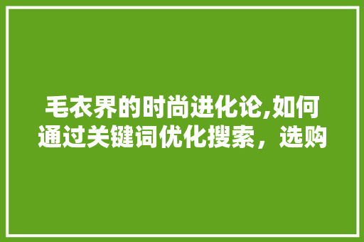 毛衣界的时尚进化论,如何通过关键词优化搜索，选购心仪的毛衣
