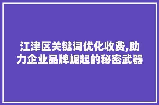 江津区关键词优化收费,助力企业品牌崛起的秘密武器