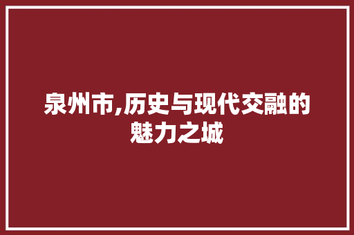 泉州市,历史与现代交融的魅力之城