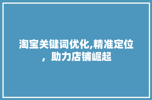 淘宝关键词优化,精准定位，助力店铺崛起