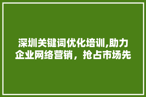 深圳关键词优化培训,助力企业网络营销，抢占市场先机