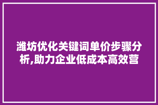 潍坊优化关键词单价步骤分析,助力企业低成本高效营销