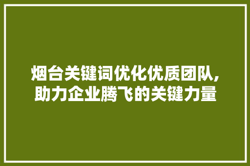 烟台关键词优化优质团队,助力企业腾飞的关键力量 操作系统