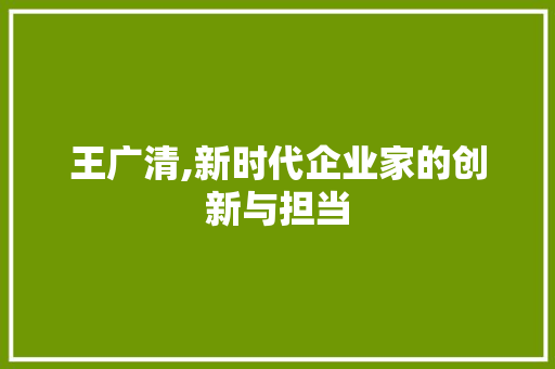 王广清,新时代企业家的创新与担当