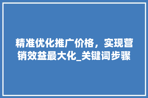 精准优化推广价格，实现营销效益最大化_关键词步骤详细分析