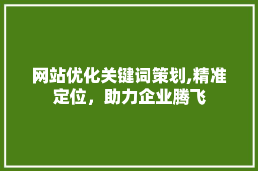 网站优化关键词策划,精准定位，助力企业腾飞