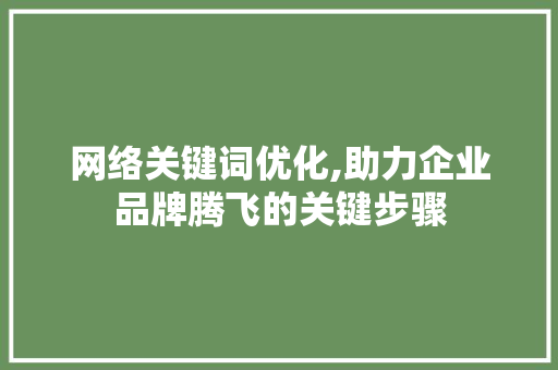 网络关键词优化,助力企业品牌腾飞的关键步骤