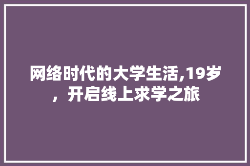 网络时代的大学生活,19岁，开启线上求学之旅