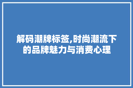 解码潮牌标签,时尚潮流下的品牌魅力与消费心理 解码潮牌标签,时尚潮流下的品牌魅力与消费心理