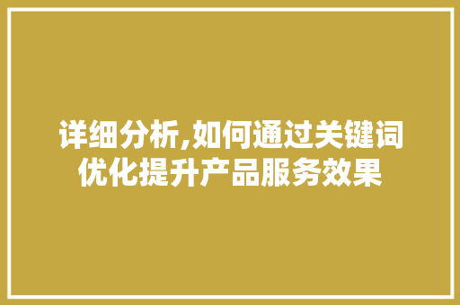 详细分析,如何通过关键词优化提升产品服务效果