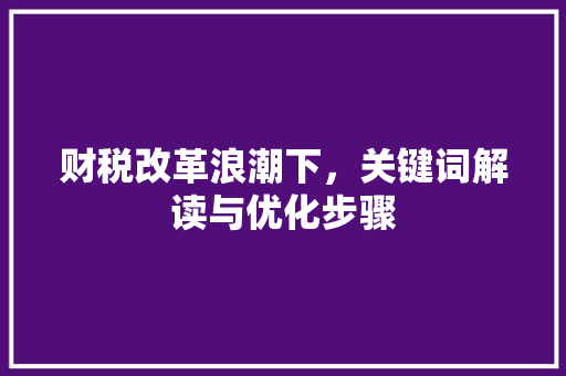 财税改革浪潮下，关键词解读与优化步骤
