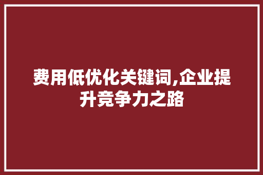 费用低优化关键词,企业提升竞争力之路