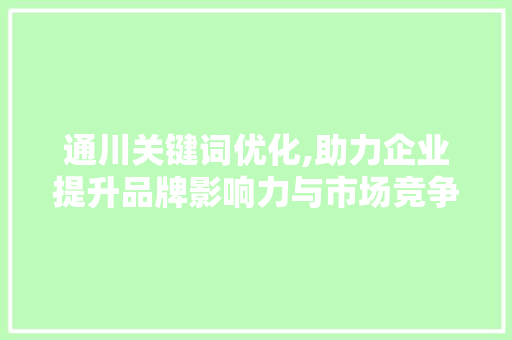 通川关键词优化,助力企业提升品牌影响力与市场竞争力