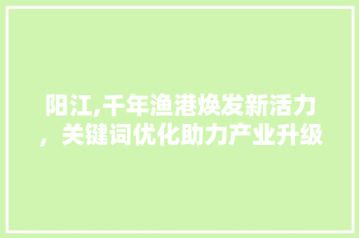 阳江,千年渔港焕发新活力，关键词优化助力产业升级
