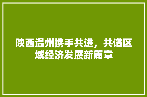 陕西温州携手共进，共谱区域经济发展新篇章