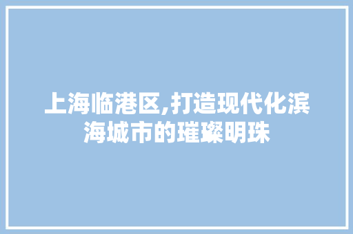 上海临港区,打造现代化滨海城市的璀璨明珠