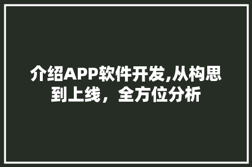 介绍APP软件开发,从构思到上线，全方位分析