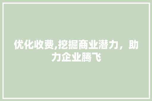 优化收费,挖掘商业潜力,助力企业腾飞 优化收费,挖掘商业潜力,助力企业腾飞