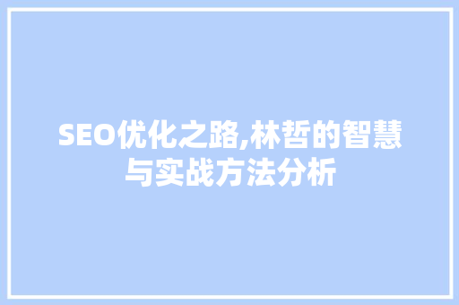SEO优化之路,林哲的智慧与实战方法分析
