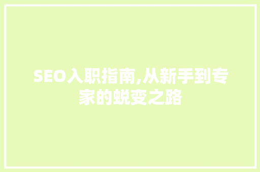 SEO入职指南,从新手到专家的蜕变之路