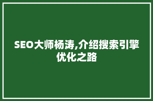 SEO大师杨涛,介绍搜索引擎优化之路