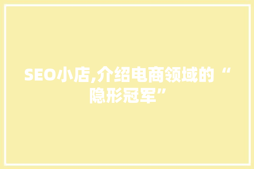 SEO小店,介绍电商领域的“隐形冠军”