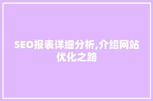 SEO报表详细分析,介绍网站优化之路