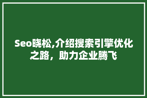 Seo晓松,介绍搜索引擎优化之路，助力企业腾飞